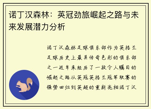 诺丁汉森林：英冠劲旅崛起之路与未来发展潜力分析